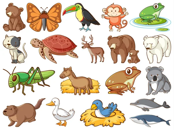 Velký soubor volně žijících živočichů s mnoha druhy zvířat — Stockový vektor