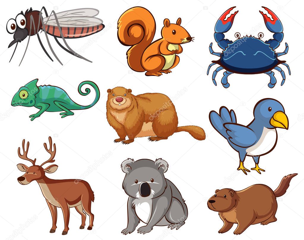 Large set of wildlife with many types of animals