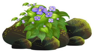 Beyaz arka planda küçük mor çiçekler