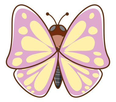 Beyaz arka planda pembe kelebek