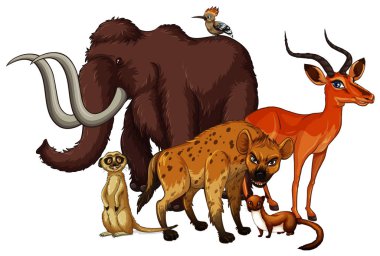 Isolated picture of many animals clipart