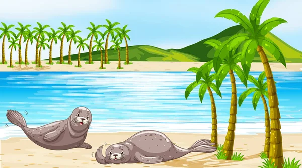 Escena con focas en la playa — Vector de stock