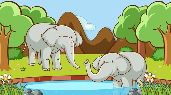 Scene with two elephants in water — Stock Vector