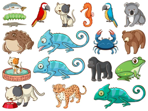 Gran conjunto de vida silvestre con muchos tipos de animales — Vector de stock