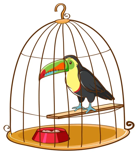 Tucano in gabbia per uccelli — Vettoriale Stock