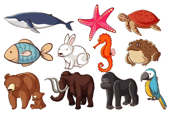 Grande conjunto de animais selvagens com muitos tipos de animais — Vetor de Stock