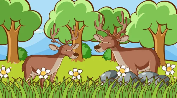 Scene with two deers in forest — Stock Vector