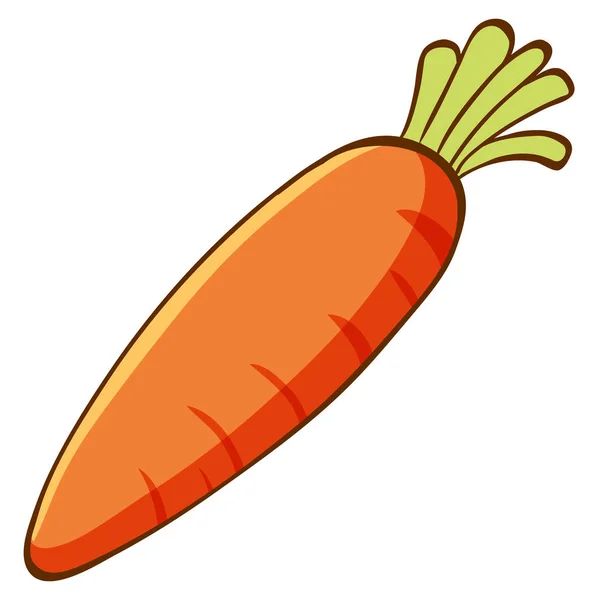 One carrot on white background — Stock Vector