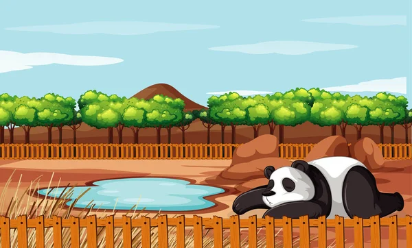 Cena com panda no zoológico —  Vetores de Stock