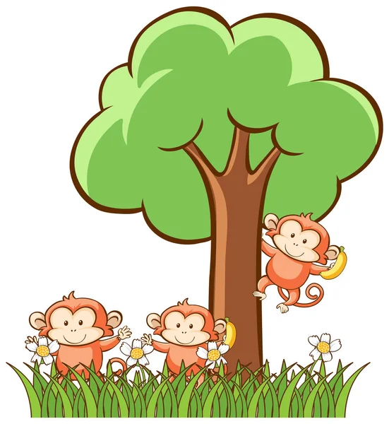 Monkeys on white background — Stock Vector
