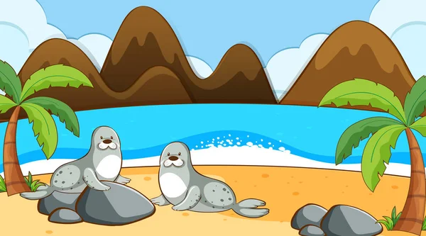 Seals on the beach — Stock Vector