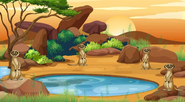 Scene with meerkats in the field — Stock Vector