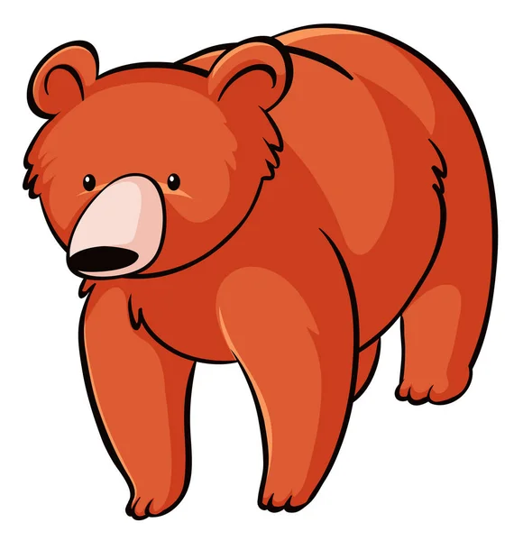 Grizzlybär auf weißem Hintergrund — Stockvektor