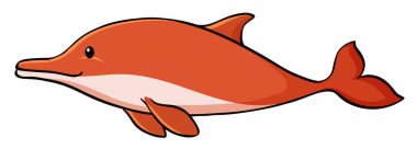 Red dolphin on white background