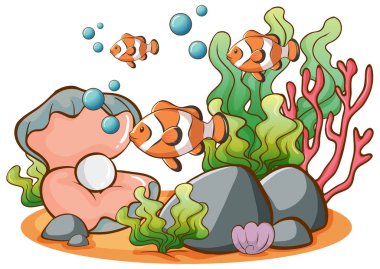 Beyaz arka planda yüzen palyaço balığı