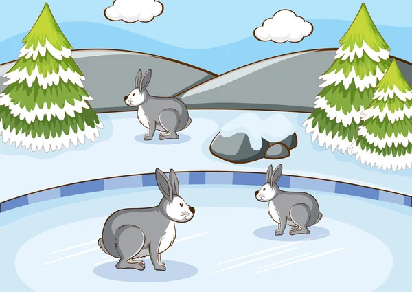 Escena con conejos en la montaña de nieve — Vector de stock