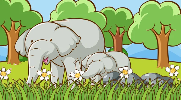 Scene with elephants in the park — Stock Vector