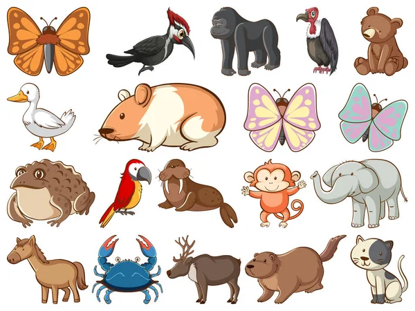 Grote verzameling wilde dieren met vele soorten dieren en insecten — Stockvector