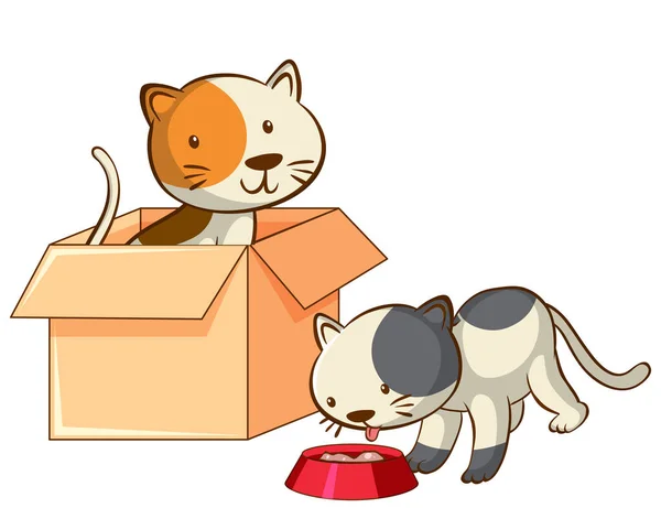 Isolated picture of two cats in the box — Stock Vector