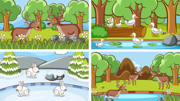 Escenas de fondo de animales en la naturaleza — Vector de stock