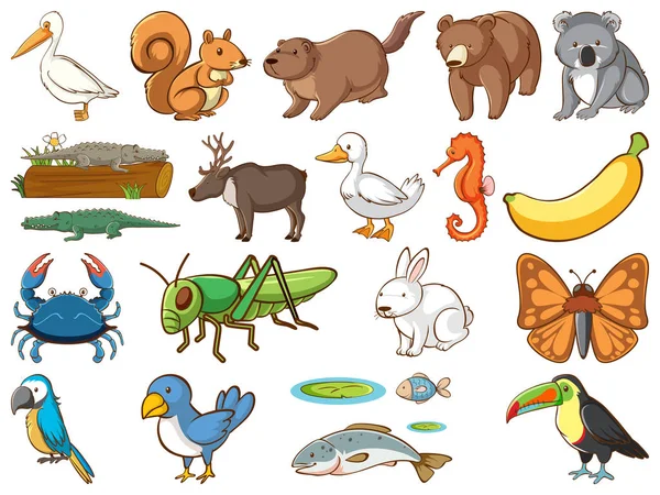 多种动物的大型野生动物群 — 图库矢量图片