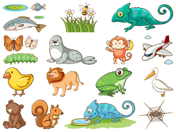 Velký soubor volně žijících živočichů s mnoha druhy zvířat a hmyzu — Stockový vektor