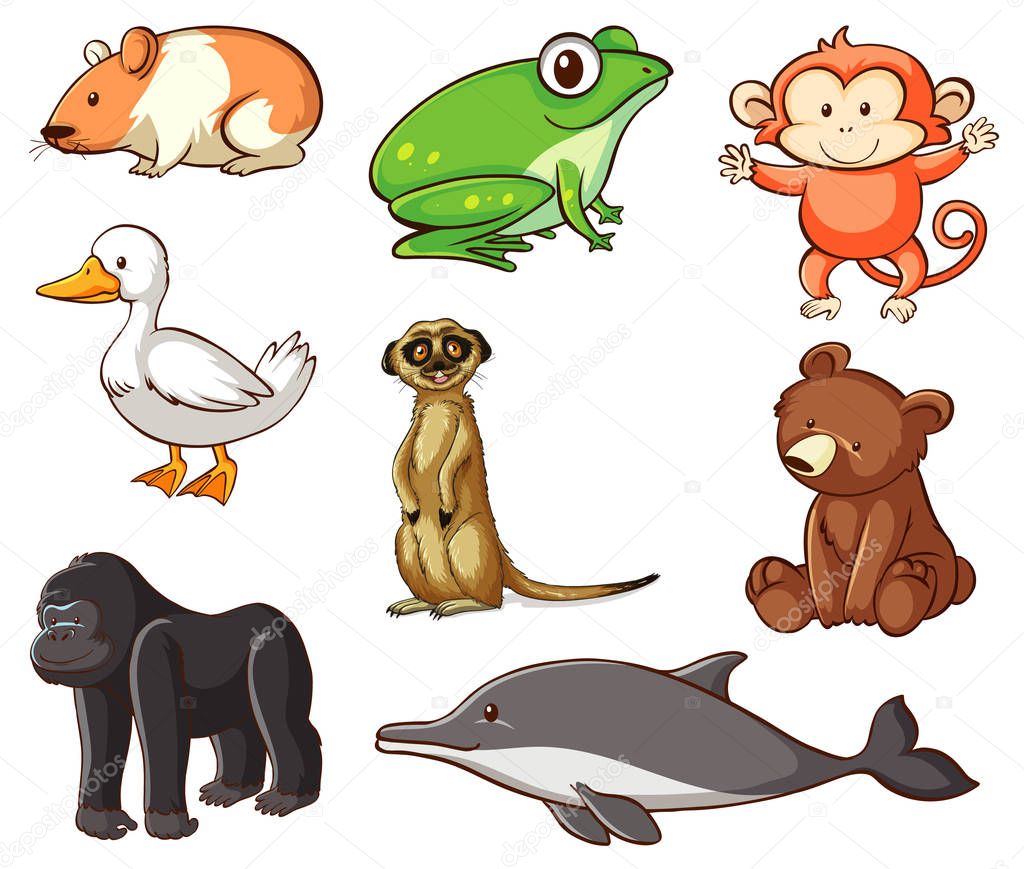 Large set of wildlife with many types of land and water animals