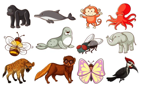 Large set of wildlife with many types of animals — 스톡 벡터