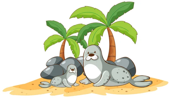 Seals on the beach on white background — Stock Vector