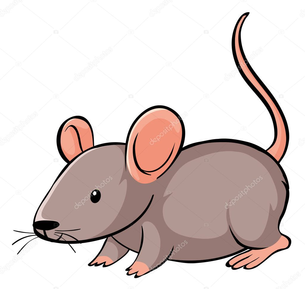 Cute mouse on white background