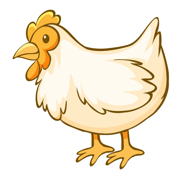 Pollo amarillo sobre fondo blanco — Vector de stock