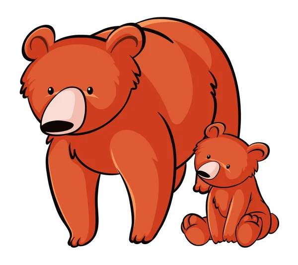Grizzly medvék fehér háttér — Stock Vector