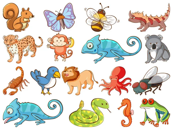 Gran conjunto de vida silvestre con muchos tipos de animales — Vector de stock