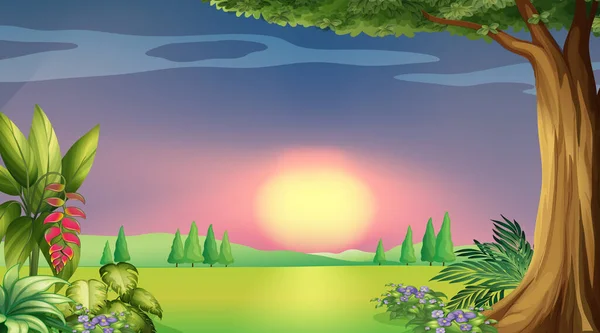 Scène de fond avec coucher de soleil dans le parc — Image vectorielle