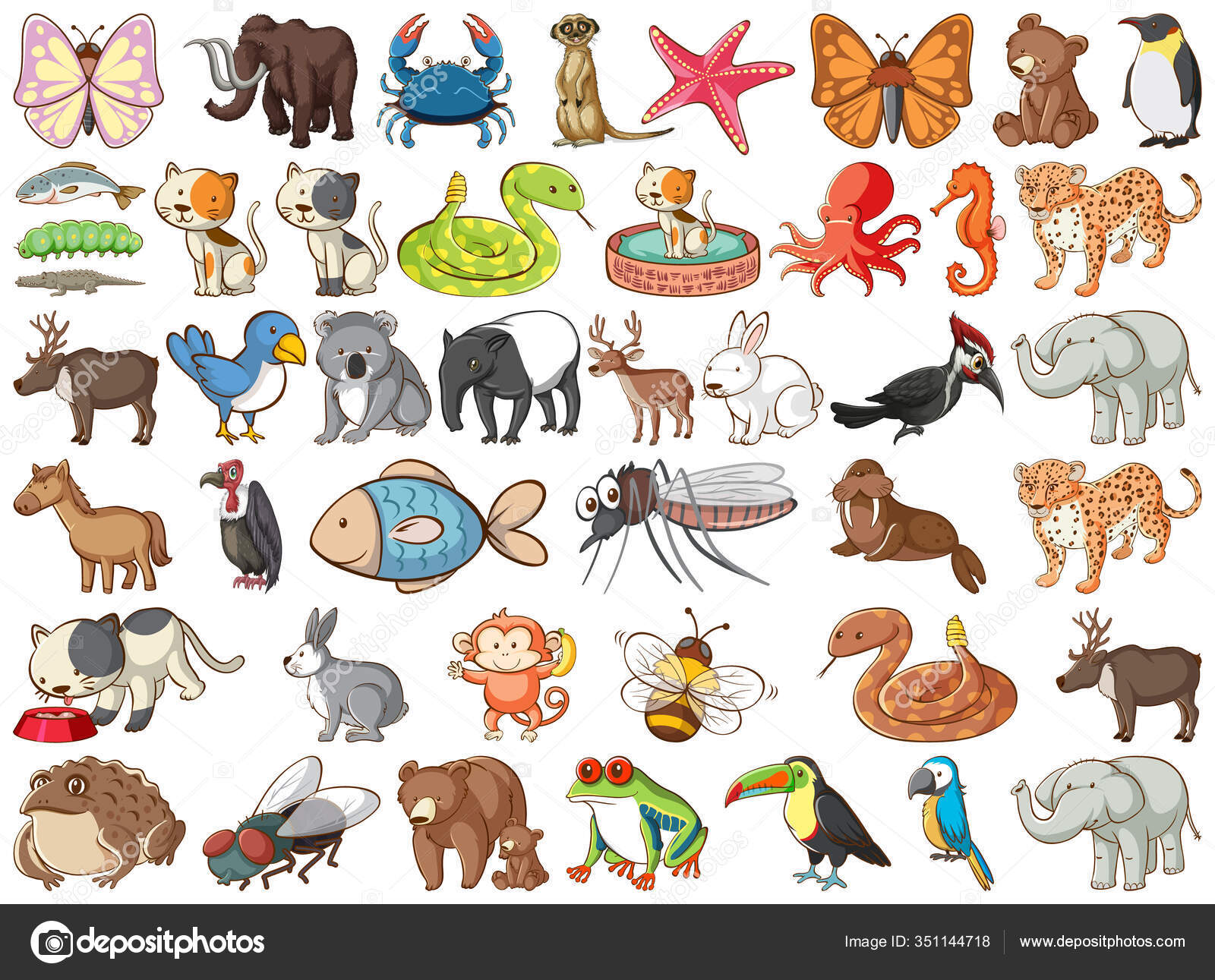 Large Set Wildlife Many Types Animals Insects Illustration Stock Vector  Image by ©interactimages #351144718