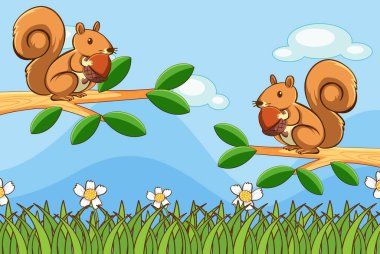 Park illüstrasyonunda sincaplı sahne