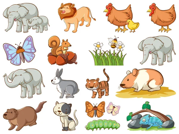 Large Set Wildlife Many Types Animals Insects Illustration — 스톡 벡터