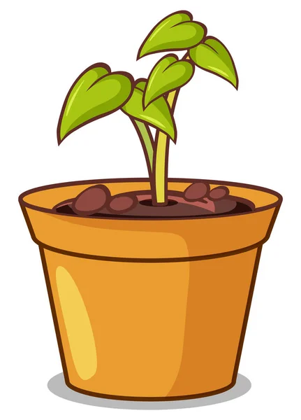 Potplant Met Kleine Plant Witte Achtergrond Illustratie — Stockvector