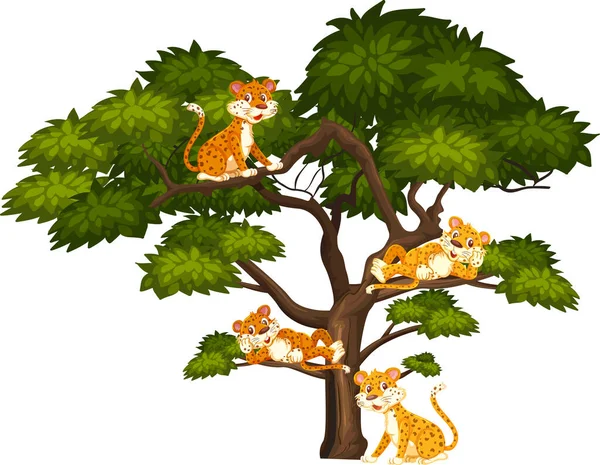 Four Tigers Sitting Big Tree Illustration — Stock Vector