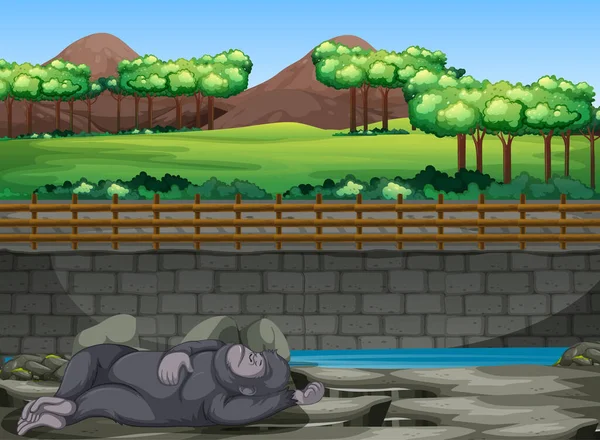 Scene Gorilla Sleeping Zoo Illustration — Stock Vector