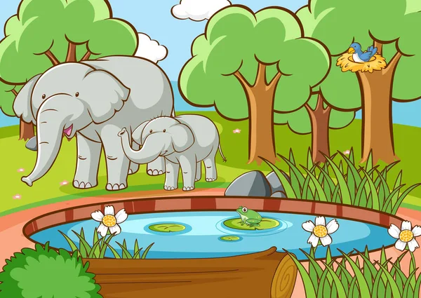 Scene Elephants Forest Illustration — Stock Vector