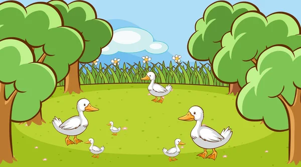 Escena Con Patos Jardín Ilustración — Vector de stock