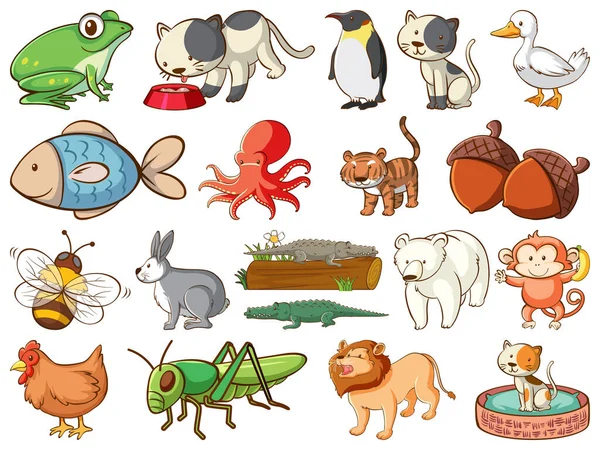 Grande Conjunto Animais Selvagens Com Muitos Tipos Animais Ilustração — Vetor de Stock