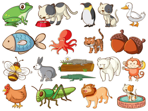 Large set of wildlife with many types of animals illustration