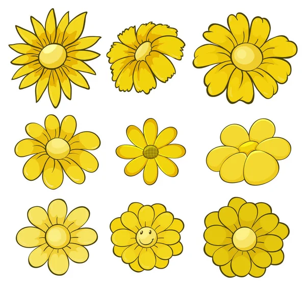 Isolated set of flowers in yellow illustration