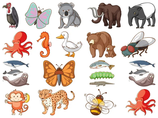 Grote Set Van Wilde Dieren Met Vele Soorten Dieren Illustratie — Stockvector