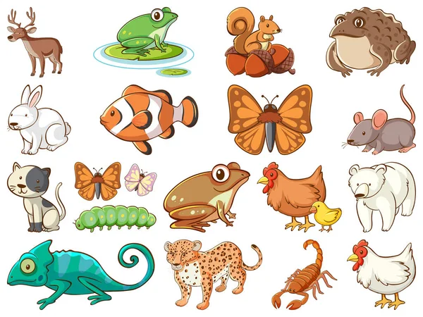 Grande Conjunto Animais Selvagens Com Muitos Tipos Animais Ilustração —  Vetores de Stock