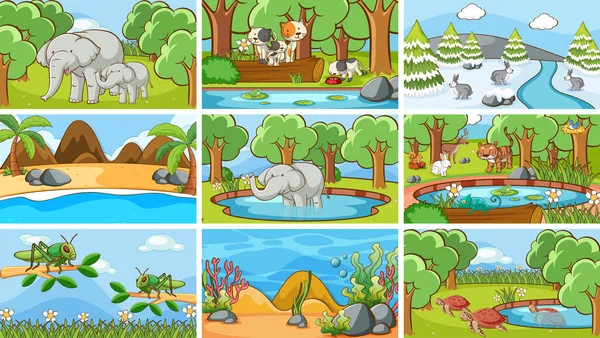 Hintergrund Szenen Von Tieren Freier Wildbahn Illustration — Stockvektor