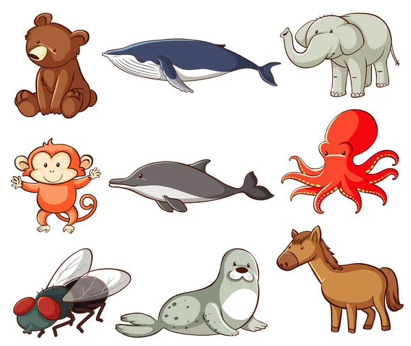 Grote Set Van Wilde Dieren Met Vele Soorten Dieren Illustratie — Stockvector