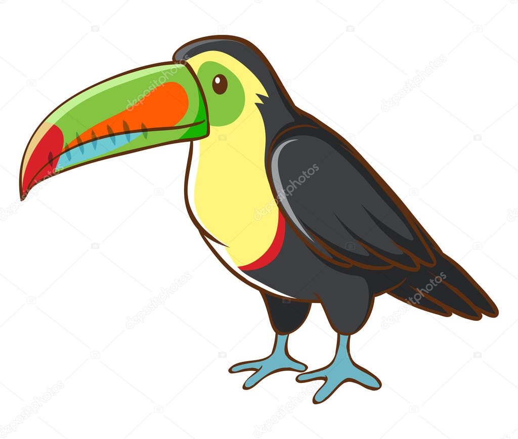 Toucan on white background illustration